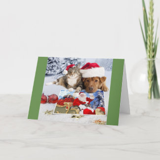 Festividades Cartão de Natal para Cães e Gatos com Papais noeis