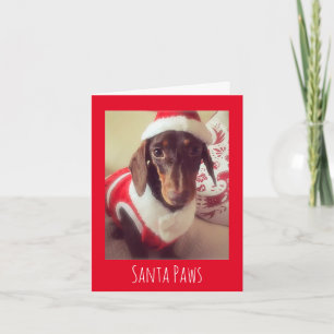 Festividades Cartão de Natal para Canina
