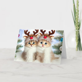 Festividades Cartão de Natal para gatos