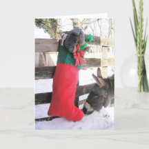 Cartão de Natal "Para Mim?"