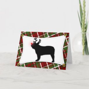 Festividades Cartão de Natal para o Bulldog Francês
