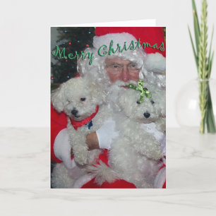 Festividades Cartão de Natal para papais noeis e Poodles