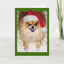 Festividades Cartão de Natal para Papais noeis Incorretos