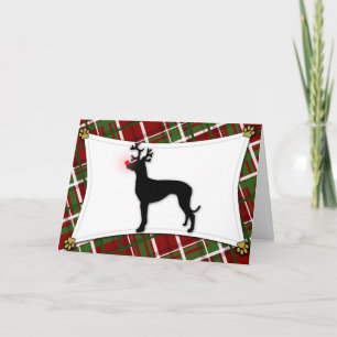 Festividades Cartão de Natal para Reindeers Pharaoh Hound