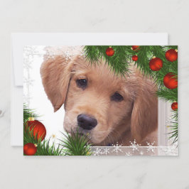 Festividades Cartão de Natal para Retriever de ouro - Cachorro