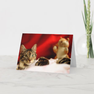 Festividades Cartão de Natal Pet Cat