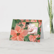 Cartão de Natal Pintado de Poinsettia Coral