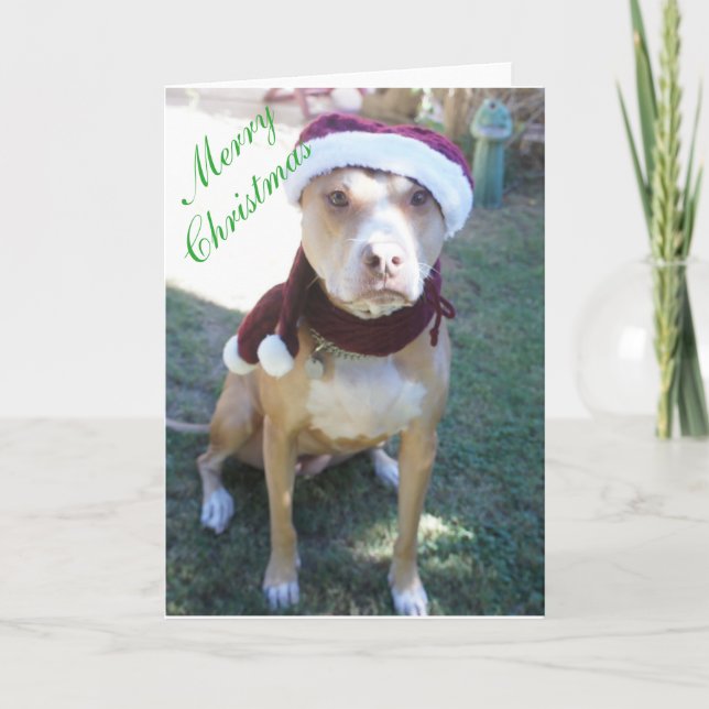 Festividades Cartão de Natal Pit Bull (Frente)