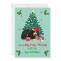 Cartão de Natal plano com foto de cachorro com cha