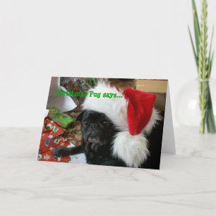 Festividades Cartão de Natal Pug