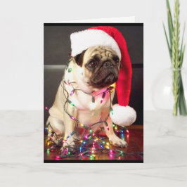 Festividades Cartão de Natal Pug
