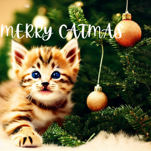 Festividades Cartão de Natal Puro feliz Catmas