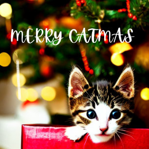 Festividades Cartão de Natal Puro feliz Catmas