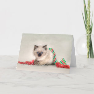 Festividades Cartão de Natal Ragdoll