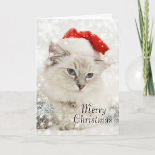 Festividades Cartão de natal Ragdoll