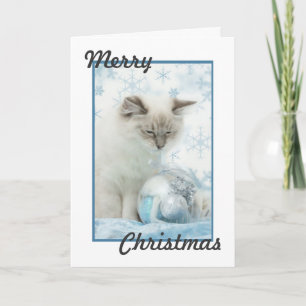 Festividades cartão de natal ragdoll