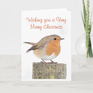 Festividades Cartão de Natal Robin