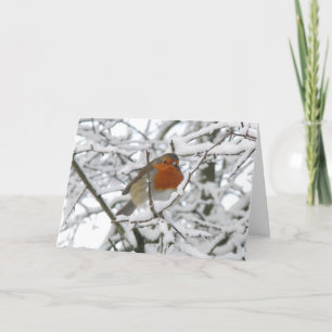Festividades Cartão de Natal Robin Luxury