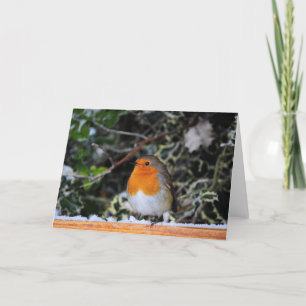 Festividades Cartão de Natal Robin Redbreast