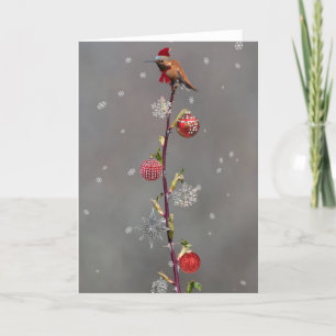 Festividades Cartão de Natal Rufous Hummingbird