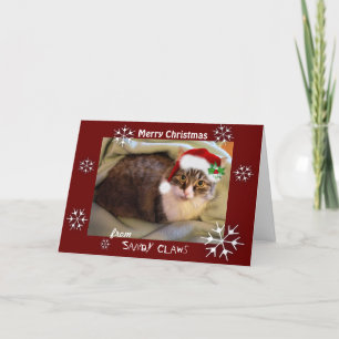 Festividades Cartão de Natal "Sandy Cights"