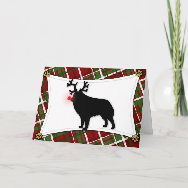 Festividades Cartão de Natal Schipperke Reindeer (Frente)