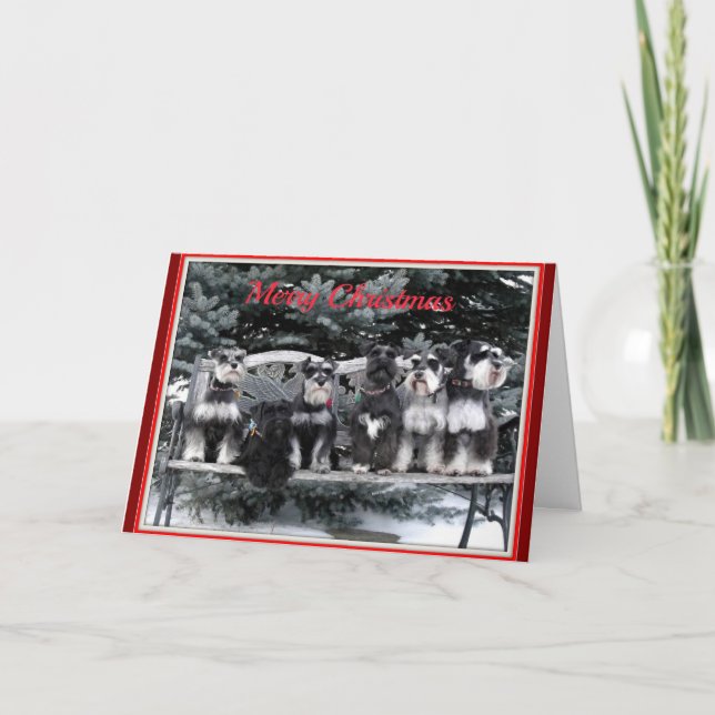 Festividades Cartão de Natal Schnauzer (Frente)