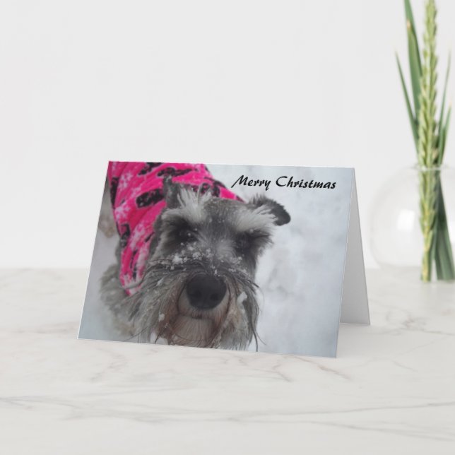 Festividades Cartão de Natal Schnauzer (Frente)