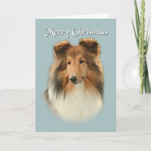 Festividades Cartão de Natal Sheltie (Frente)