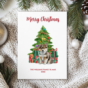 Festividades Cartão de Natal Siberian Husky