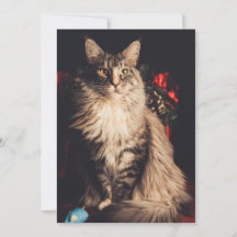 Cartão de Natal Smilla V2