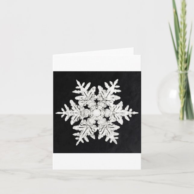 Festividades Cartão de Natal Snowflake 4 (Frente)