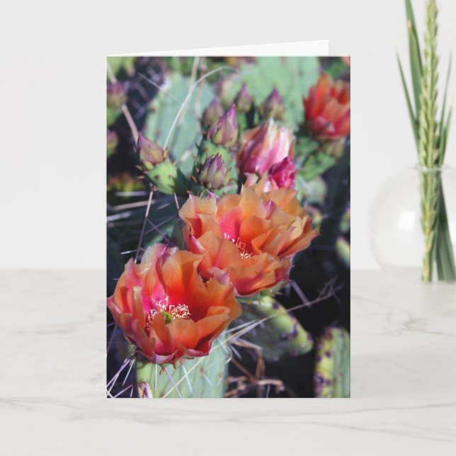 Festividades Cartão de Natal Sudoeste (Frente)