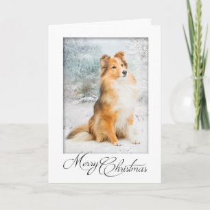 Festividades Cartão de Natal Sweet Sheltie