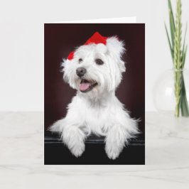 Festividades Cartão de Natal Terrier White West Highland