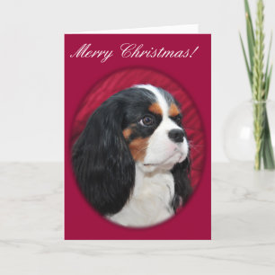 Festividades Cartão de Natal Tricolorido King Charles
