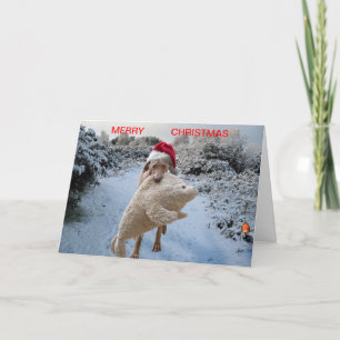 Festividades Cartão de Natal Weimaraner