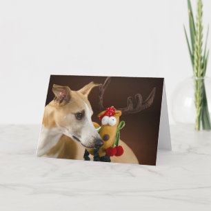 Festividades Cartão de Natal Whippet