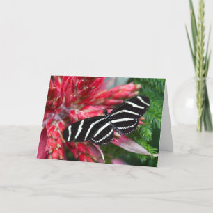 Festividades Cartão de Natal Zebra Longwing