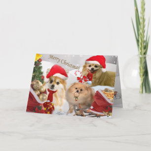 Festividades Cartão de neve de Natal da Pomerânia 2