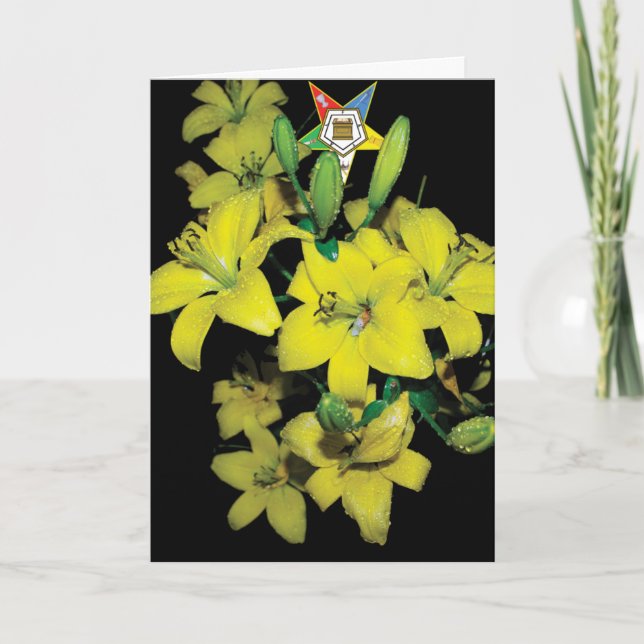 Festividades Cartão de OES (Frente)