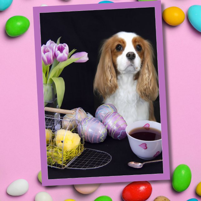 Festividades Cartão de Ovos Cavalier King Charles Páscoa Tulips (Criador carregado)