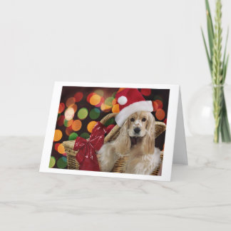 Festividades Cartão de Panela de Cocker de Natal