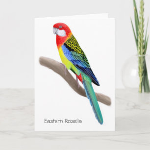 Festividades Cartão de Papagaio Rosella Oriental