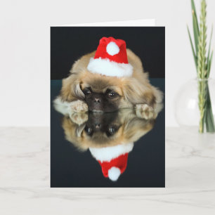 Festividades Cartão de Papanicolau de Natal bonito