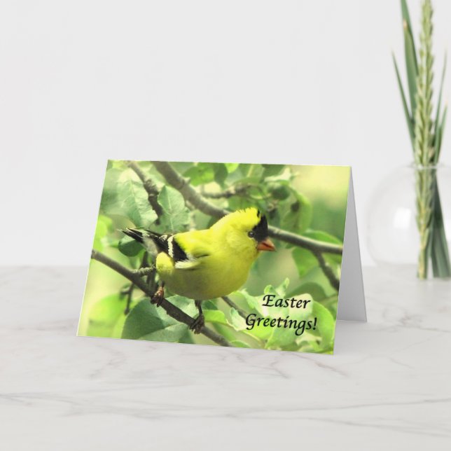Festividades Cartão de Páscoa Goldfinch (Frente)