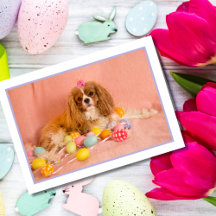 Cartão de Páscoa para Filhote de Cavalier King Cha
