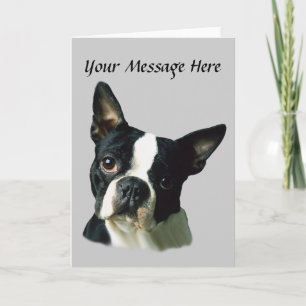 Festividades Cartão de Saudação Boston Terrier