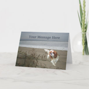 Festividades Cartão de Saudação Cavalier King Charles Spaniel