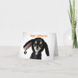 Festividades Cartão de Saudação Chihuahua Halloween